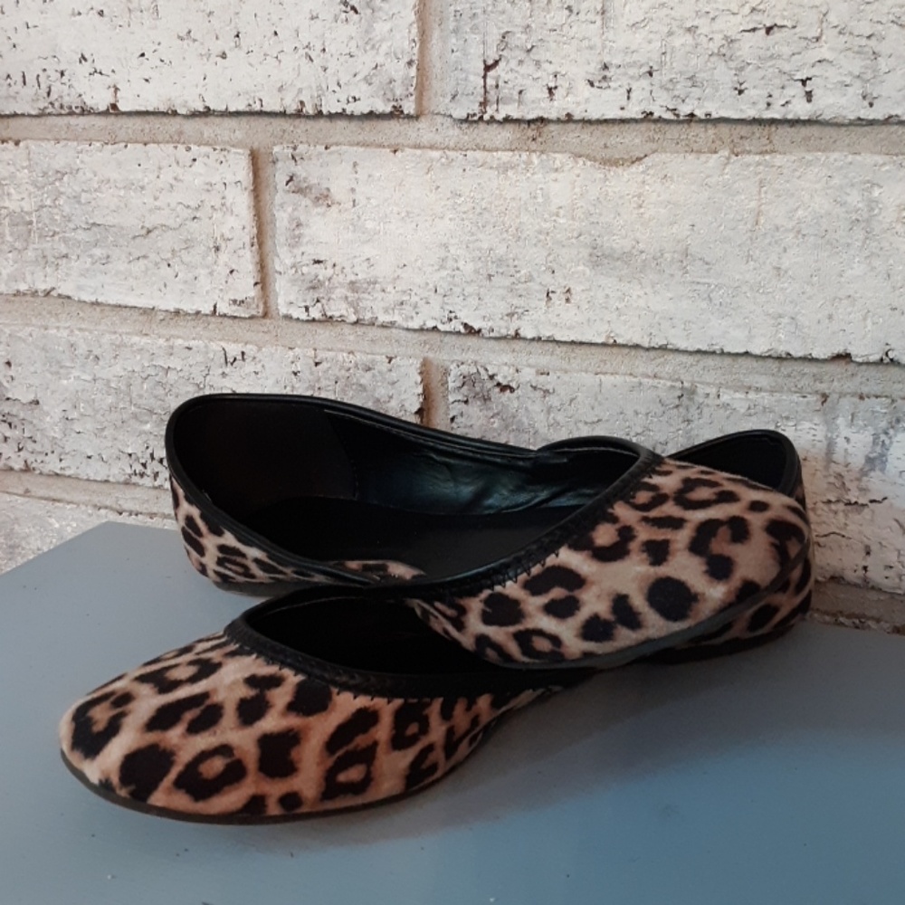 Leopard shoes